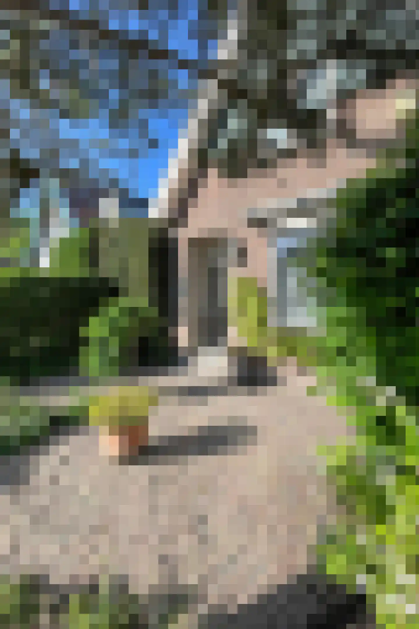 Zuideinde 329 Amsterdam thumbnail 34