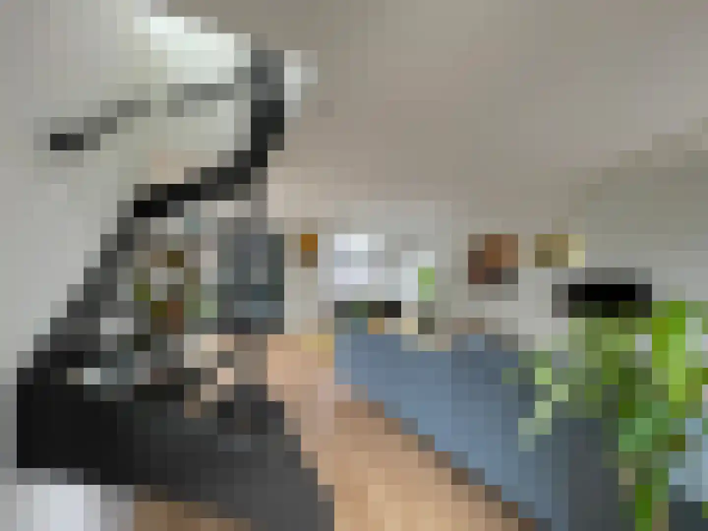 Zuideinde 329 Amsterdam thumbnail 9