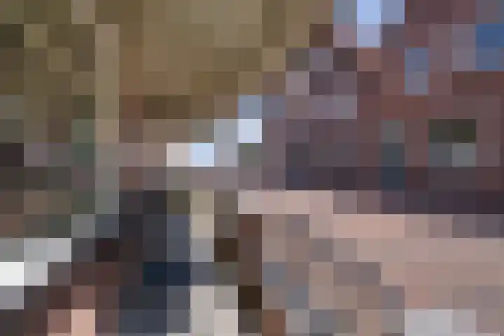 Zuideinde 34 Volendam thumbnail 4