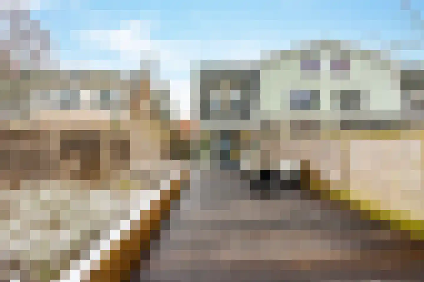 Zuideinde 342 A Amsterdam thumbnail 4