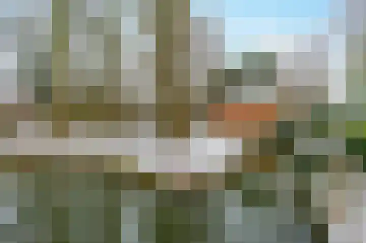 Zuideinde 342 A Amsterdam thumbnail 42