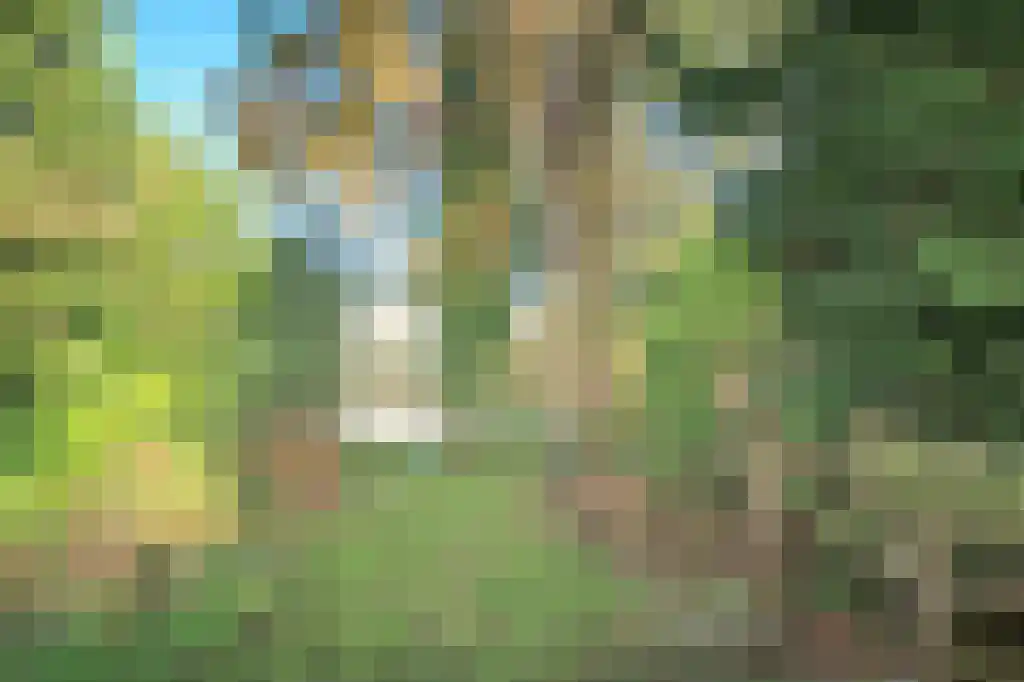 Zuideinde 343 Amsterdam thumbnail 13