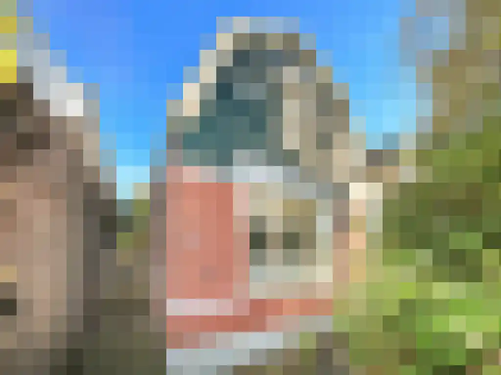 Zuideinde 343 Amsterdam thumbnail 27