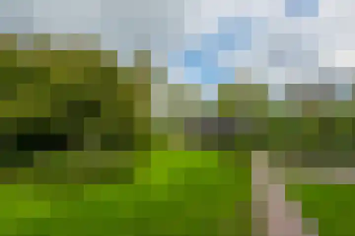 Zuideinde 35 Zevenhoven thumbnail 4