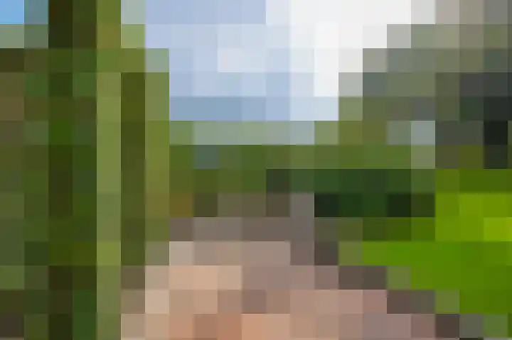Zuideinde 35 Zevenhoven thumbnail 45