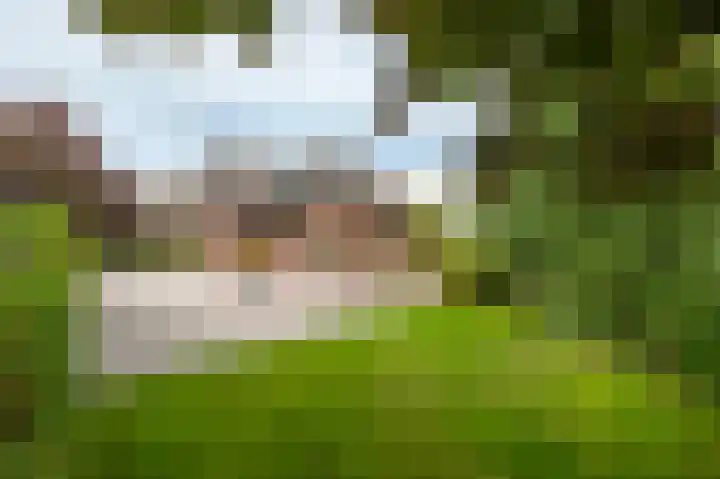 Zuideinde 35 Zevenhoven thumbnail 46