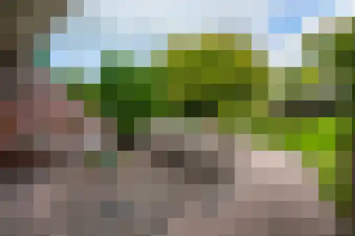 Zuideinde 35 Zevenhoven thumbnail 49