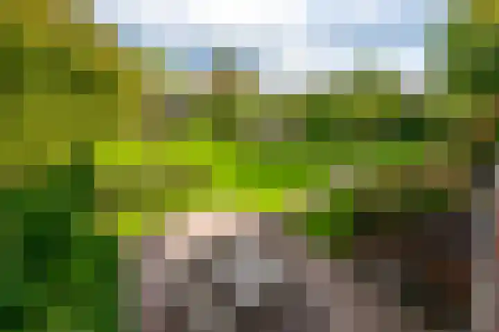 Zuideinde 35 Zevenhoven thumbnail 50