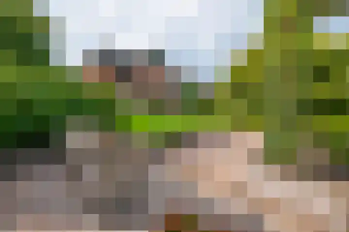 Zuideinde 35 Zevenhoven thumbnail 51