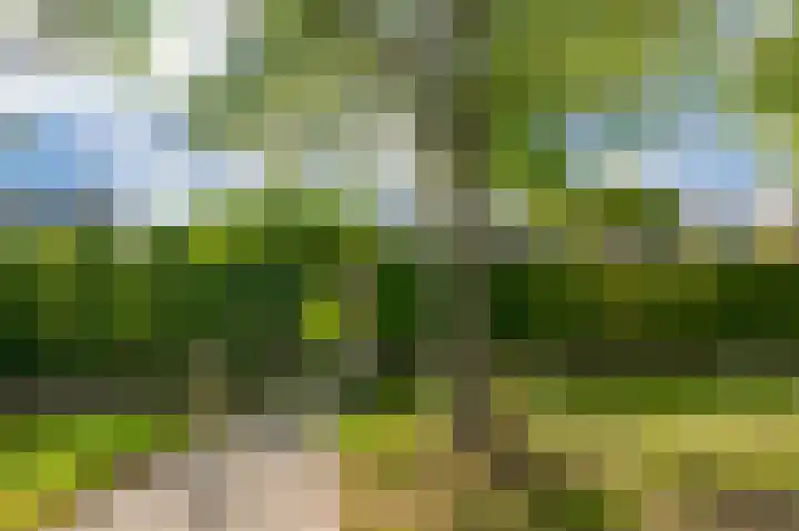 Zuideinde 35 Zevenhoven thumbnail 54