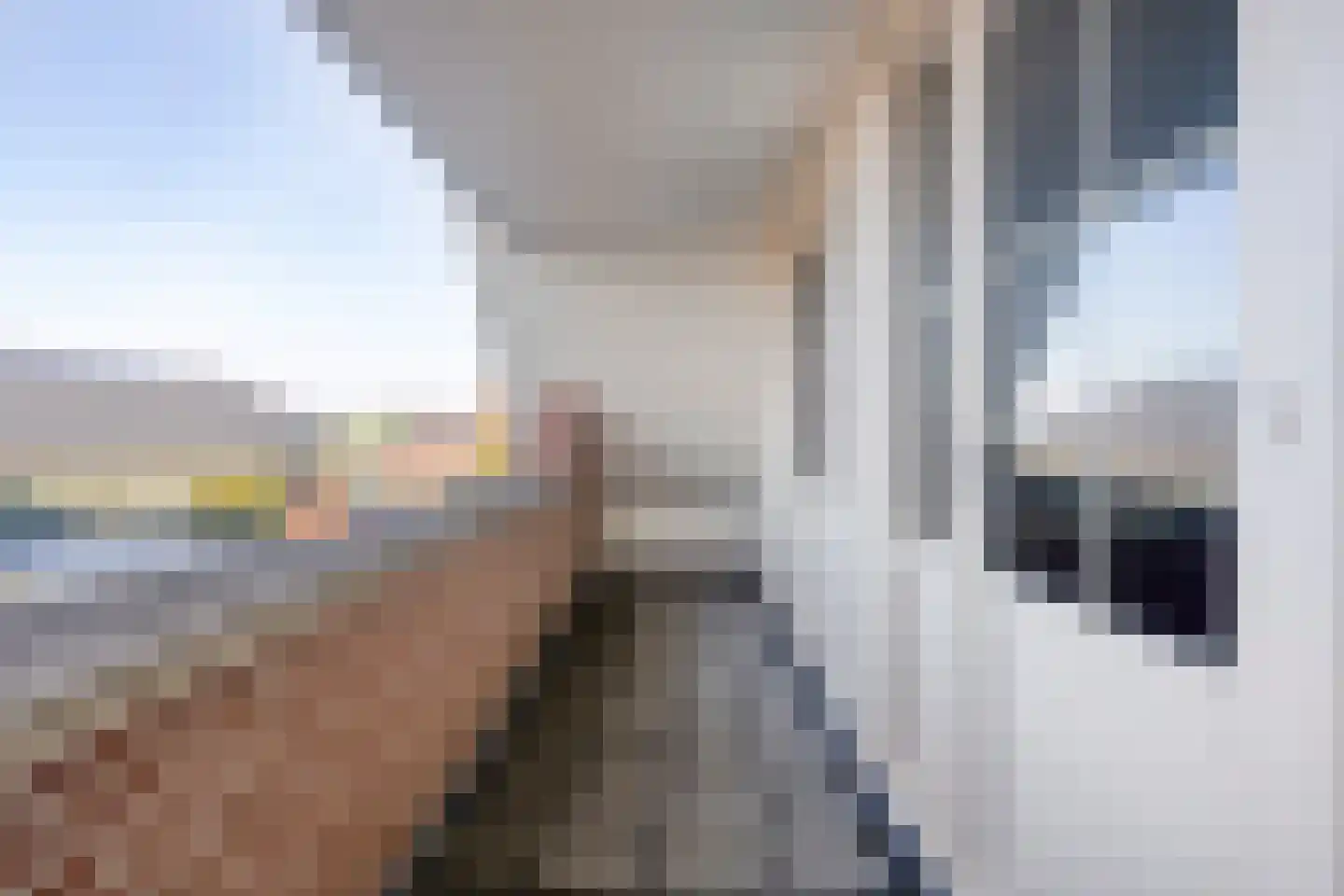 Zuideinde 36 a Roelofarendsveen thumbnail 15