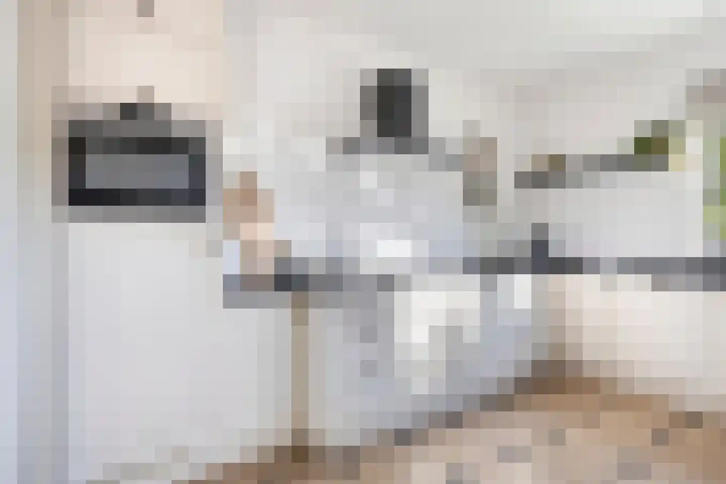 Zuideinde 36 a Roelofarendsveen thumbnail 5