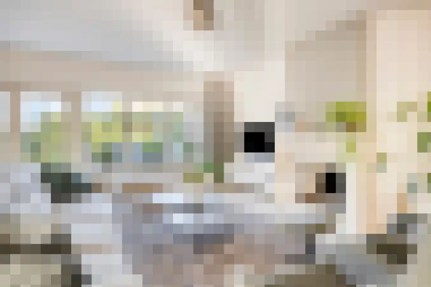 Zuideinde 36 a Roelofarendsveen thumbnail 8