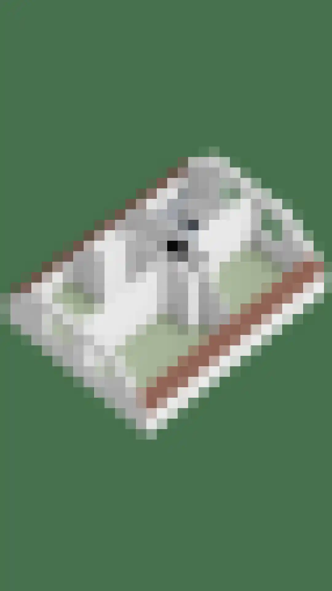Zuideinde 383 A Amsterdam thumbnail 10