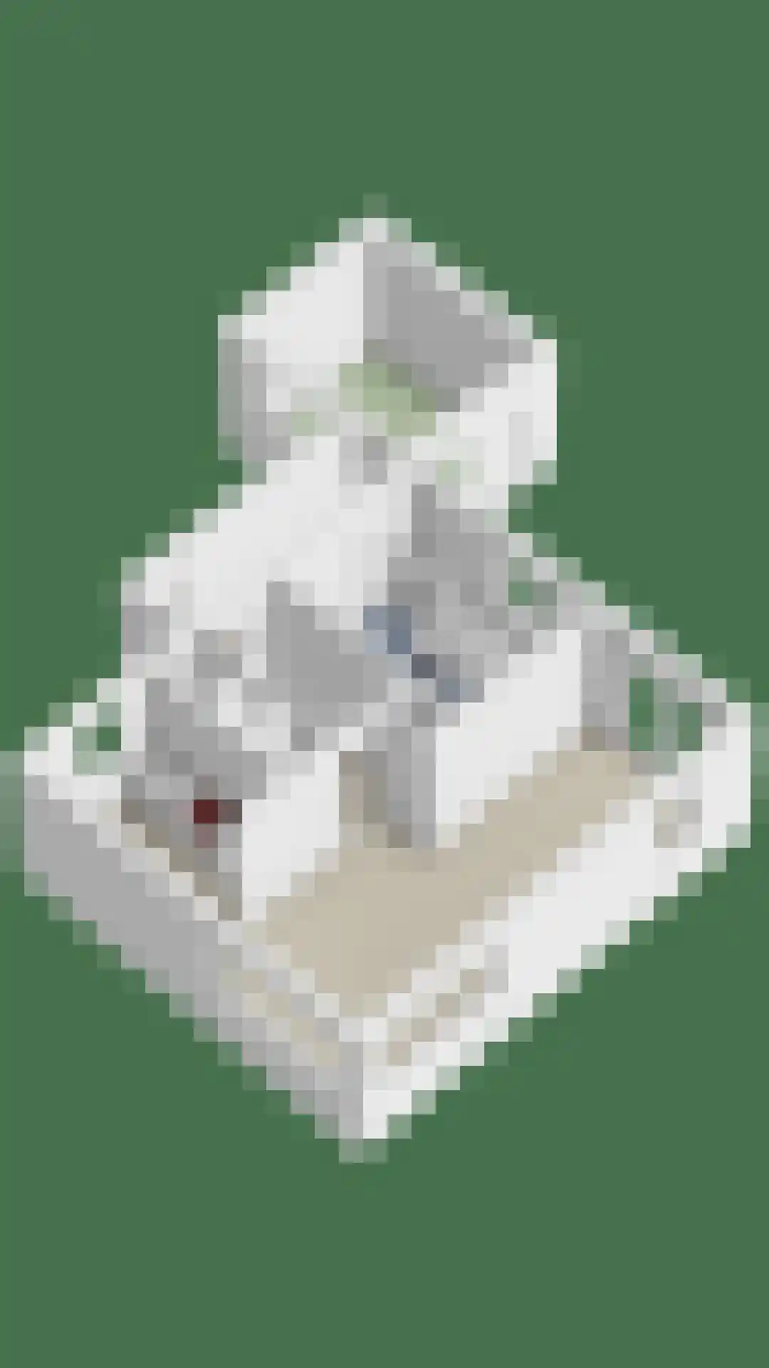 Zuideinde 383 A Amsterdam thumbnail 40