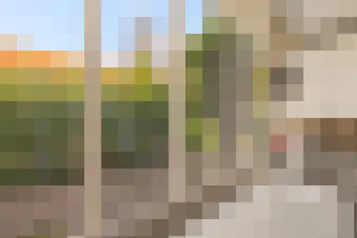 Zuideinde 389 Amsterdam thumbnail 28