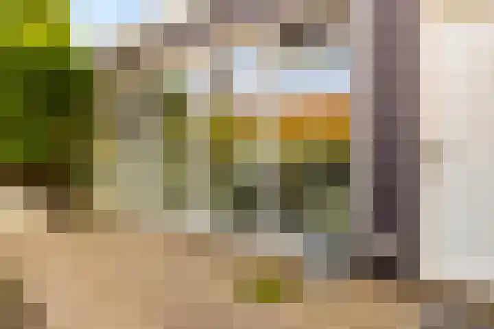 Zuideinde 389 Amsterdam thumbnail 31