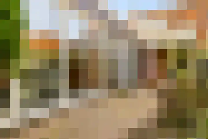 Zuideinde 389 Amsterdam thumbnail 32