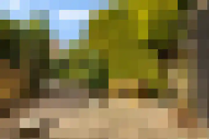 Zuideinde 389 Amsterdam thumbnail 36