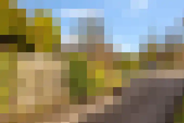 Zuideinde 389 Amsterdam thumbnail 5