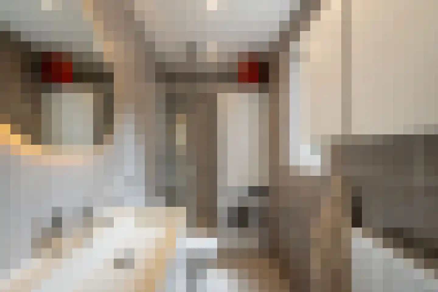 Zuideinde 39 Naaldwijk thumbnail 18