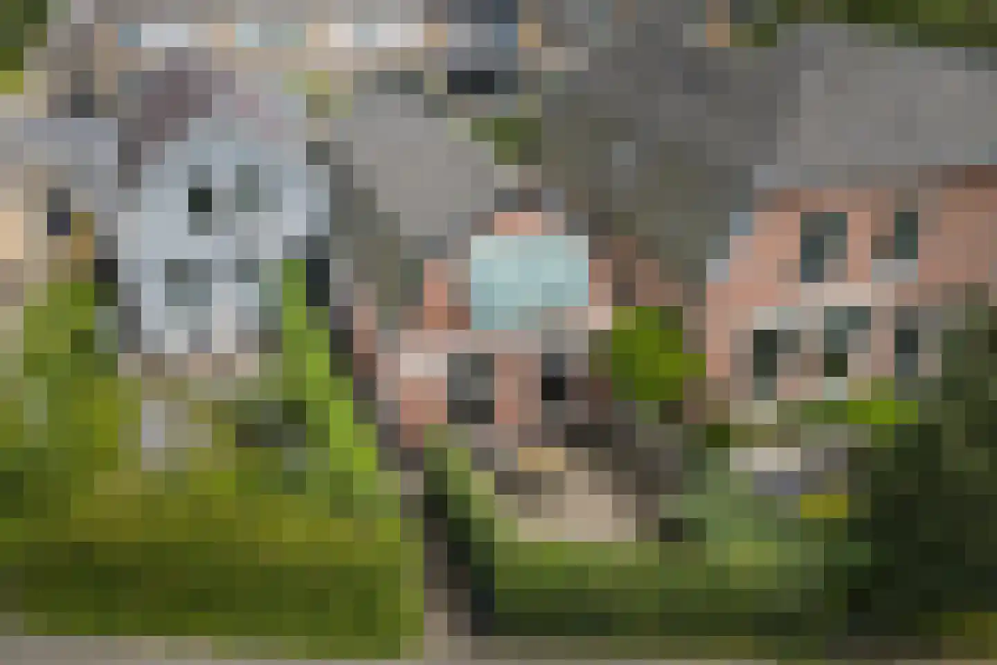Zuideinde 39 Naaldwijk thumbnail 32