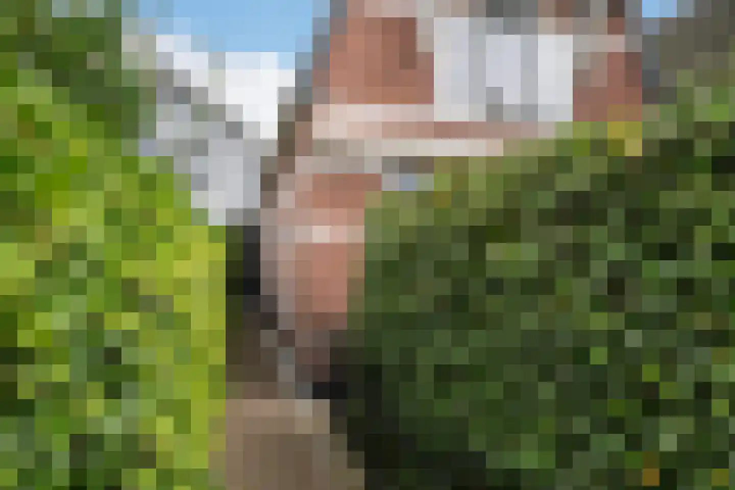 Zuideinde 39 Naaldwijk thumbnail 33