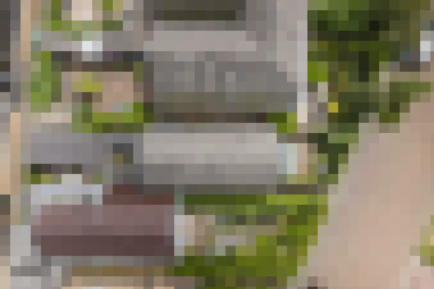 Zuideinde 39 Naaldwijk thumbnail 36