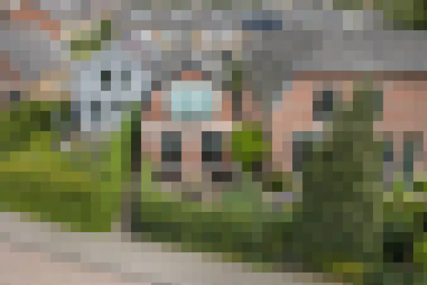 Zuideinde 39 Naaldwijk thumbnail 37