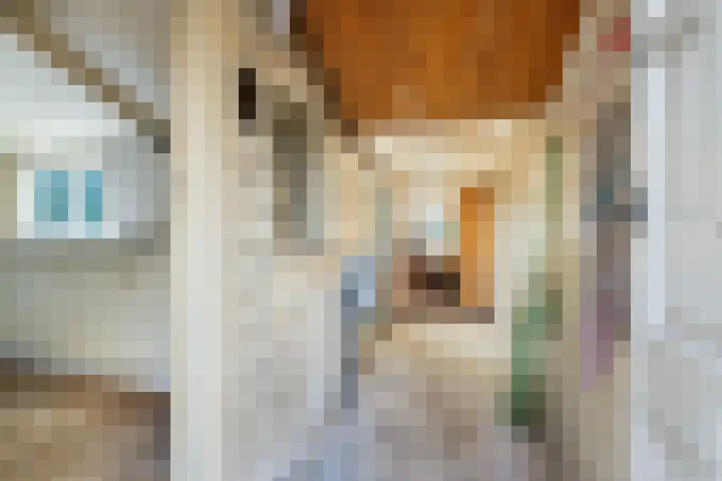 Zuideinde 396 Amsterdam thumbnail 40