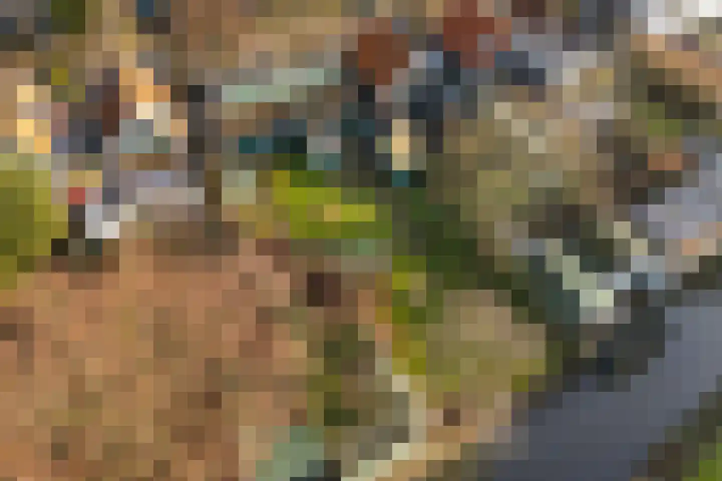 Zuideinde 396 Amsterdam thumbnail 55