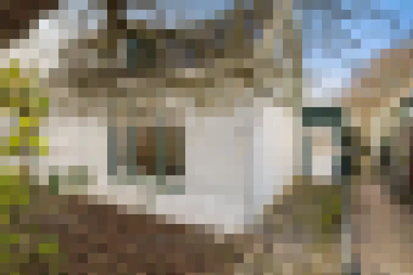 Zuideinde 396 Amsterdam thumbnail 6