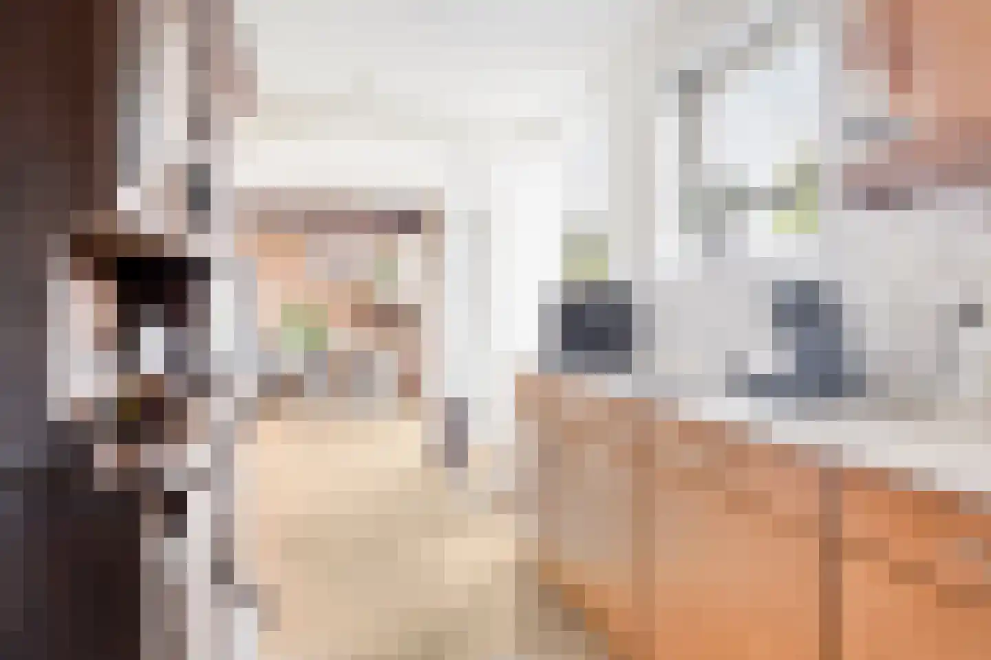 Zuideinde 44 Roelofarendsveen thumbnail 6