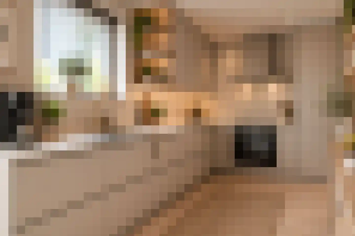 Zuideinde 44 Roelofarendsveen thumbnail 6