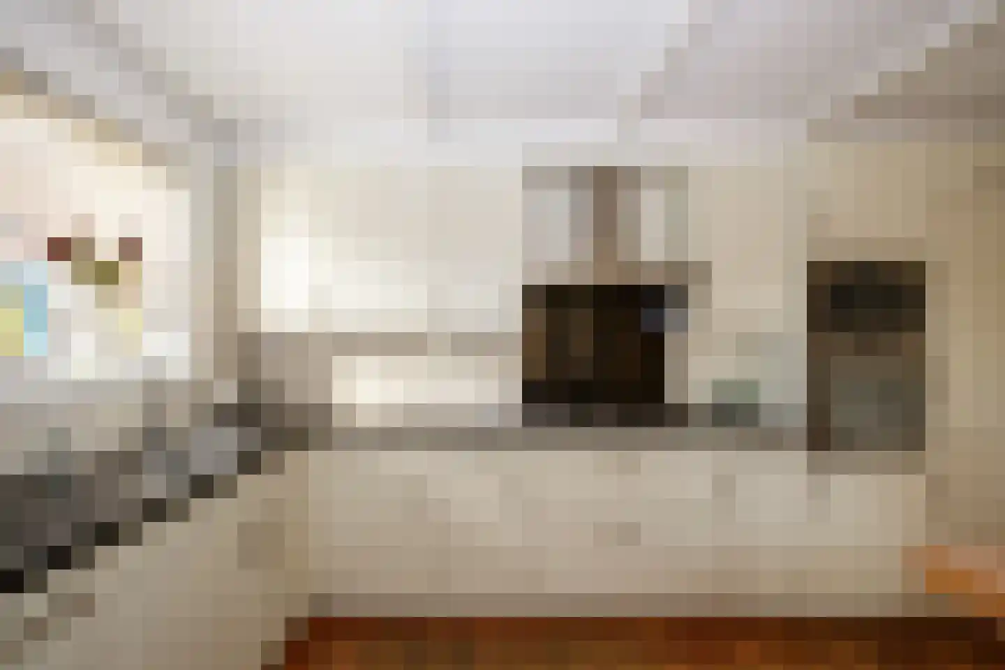 Zuideinde 5 Koog aan de Zaan thumbnail 10