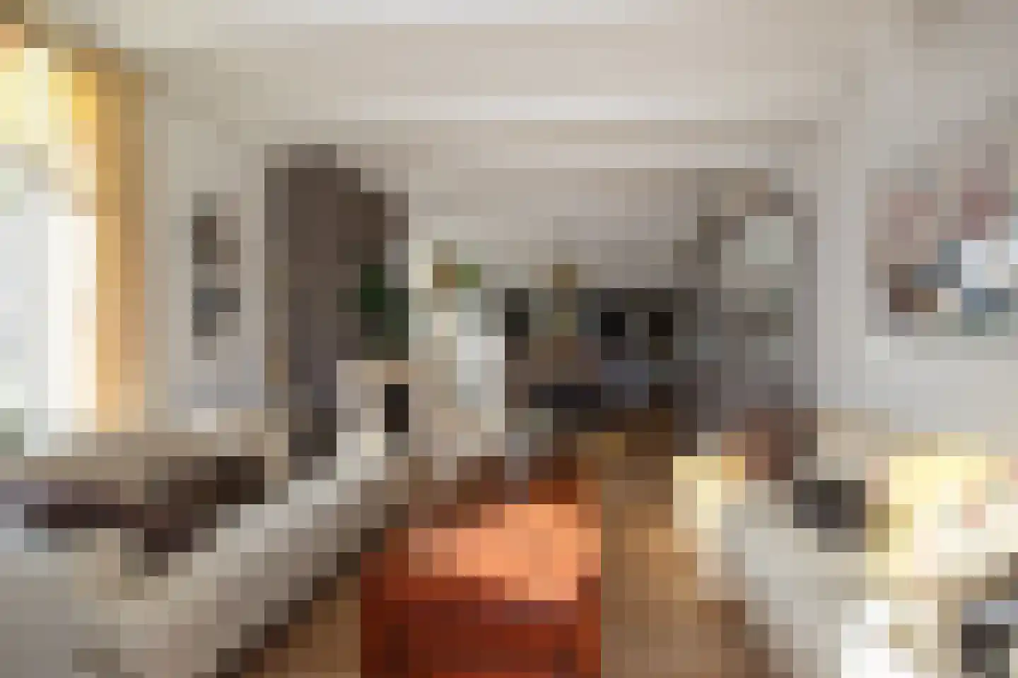 Zuideinde 5 Koog aan de Zaan thumbnail 4