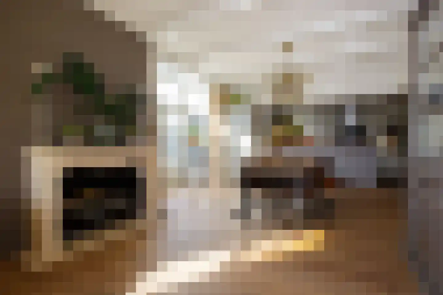 Zuideinde 5 Koog aan de Zaan thumbnail 5