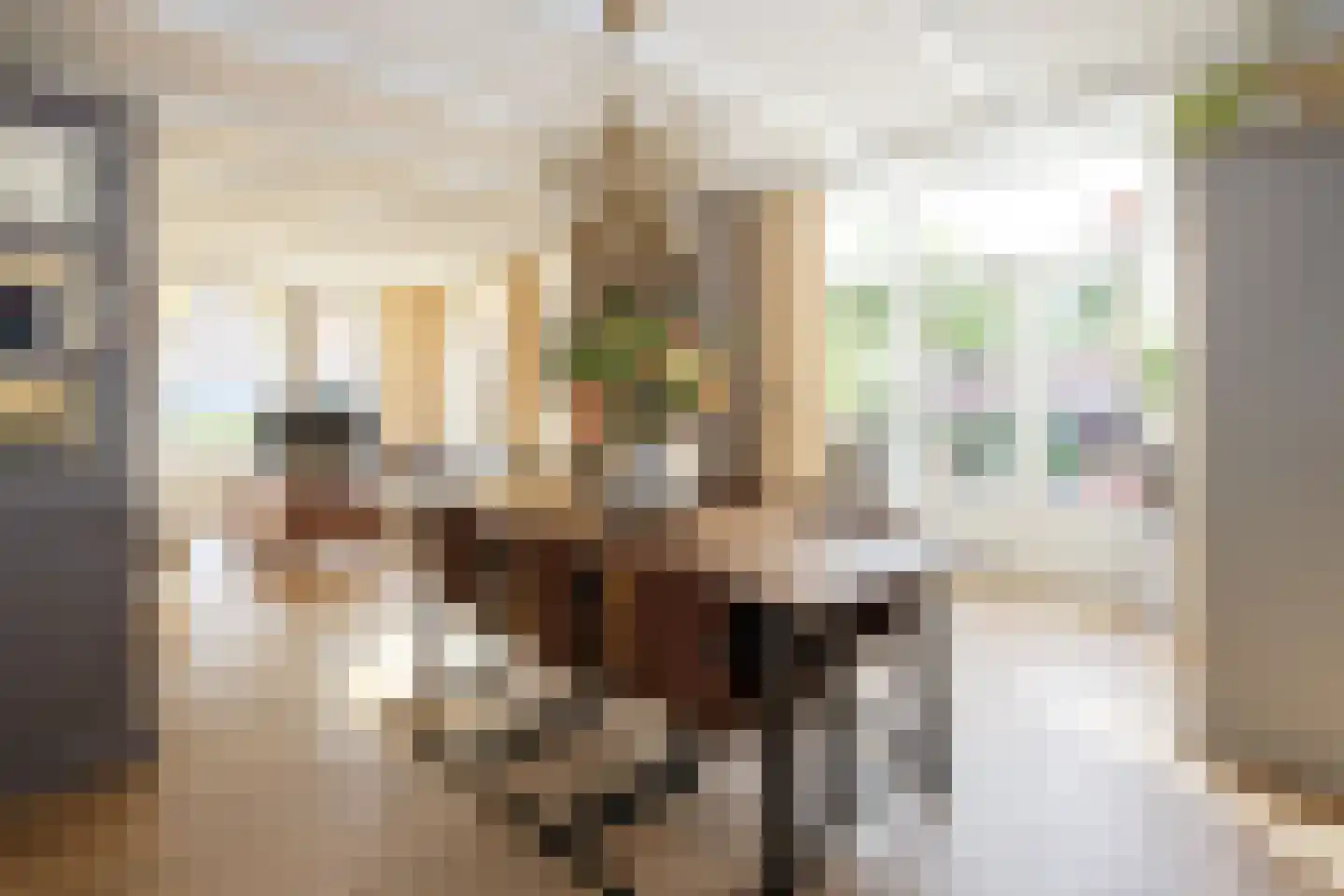 Zuideinde 5 Koog aan de Zaan thumbnail 7