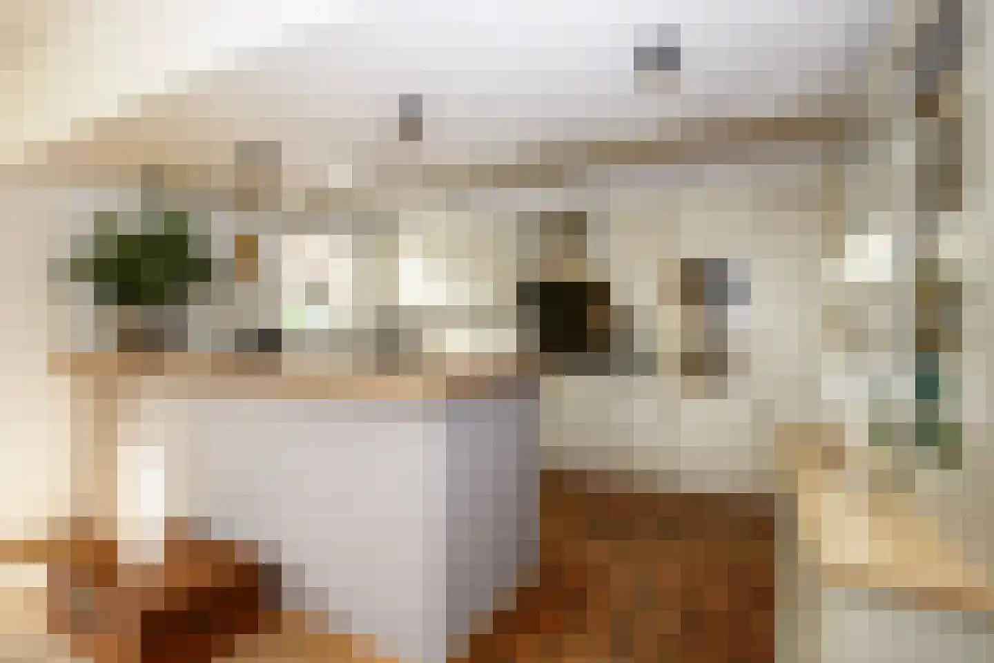 Zuideinde 5 Koog aan de Zaan thumbnail 8