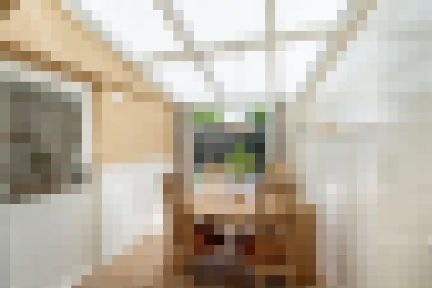 Zuideinde 5 Naaldwijk thumbnail 12