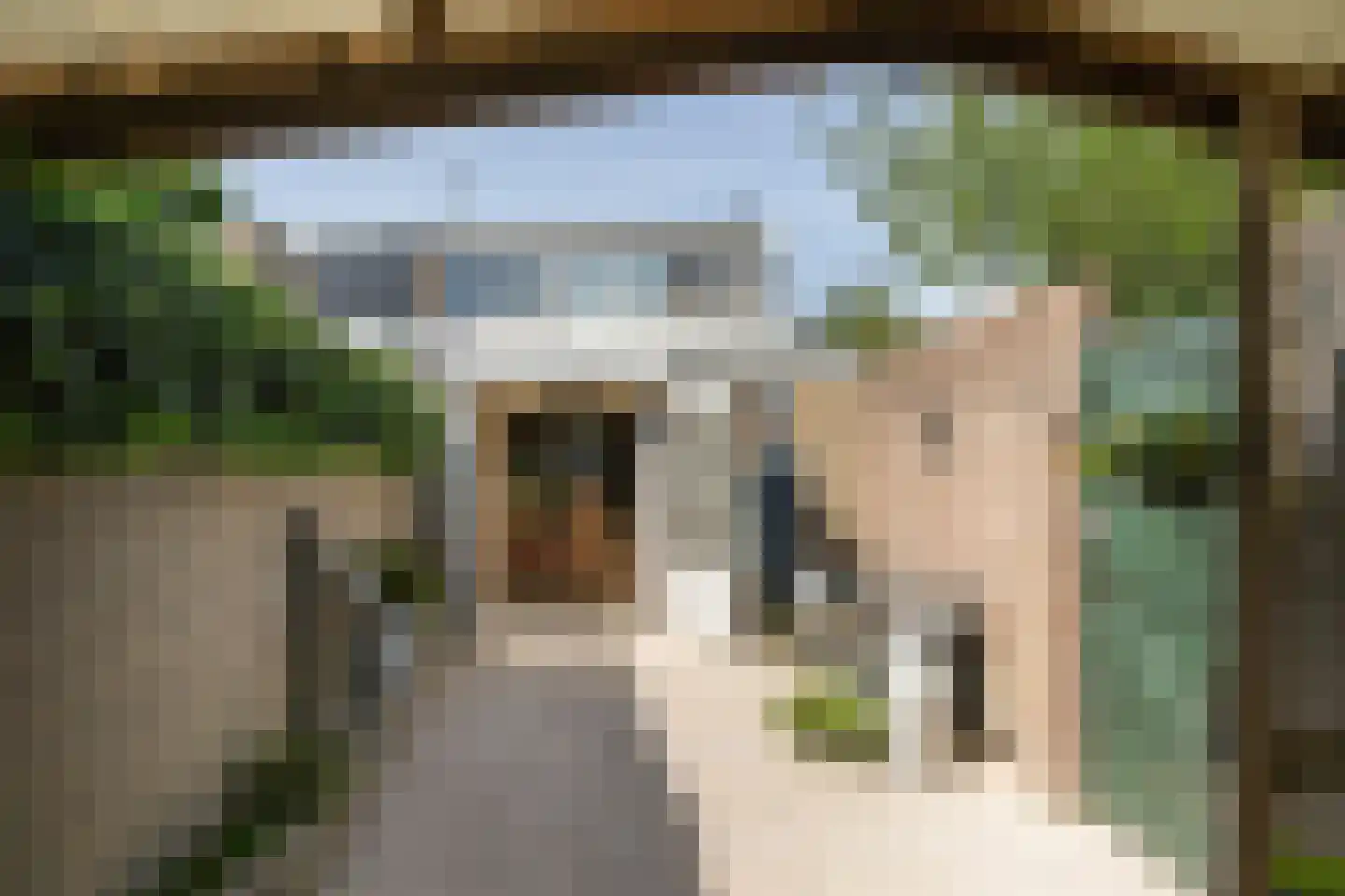 Zuideinde 5 Naaldwijk thumbnail 16