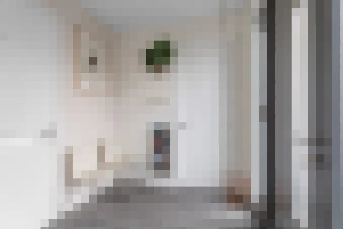 Zuideinde 5 Oostzaan thumbnail 16