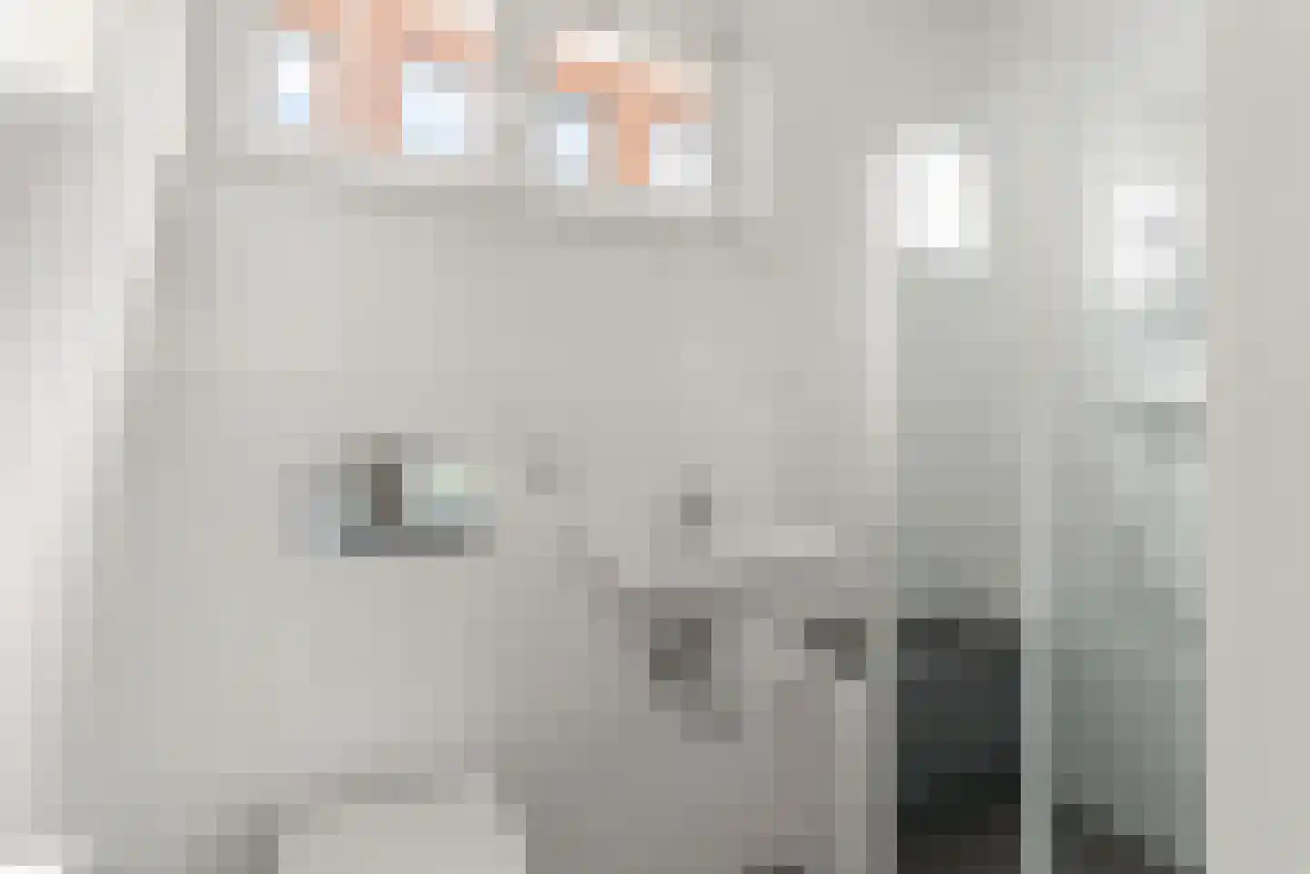 Zuideinde 5 Oostzaan thumbnail 26