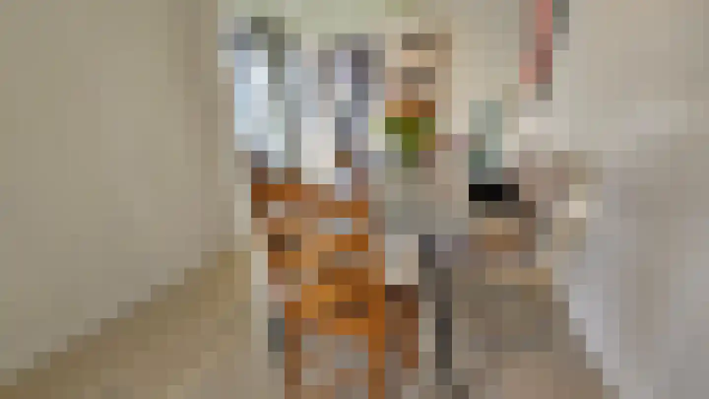 Zuideinde 5 Westzaan thumbnail 13