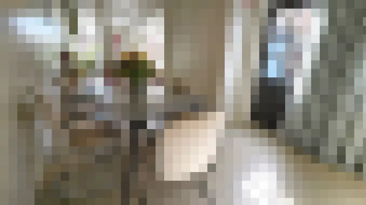 Zuideinde 5 Westzaan thumbnail 15