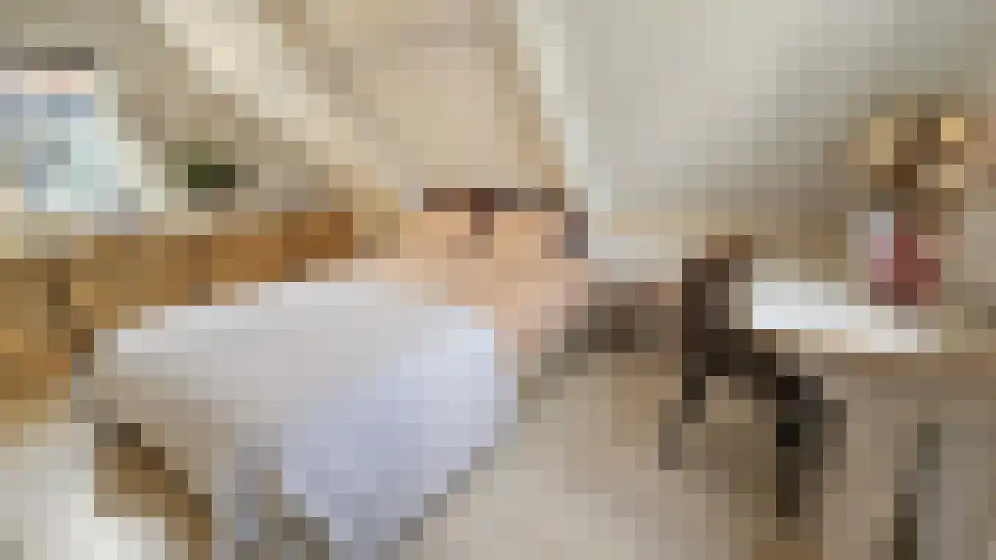 Zuideinde 5 Westzaan thumbnail 21
