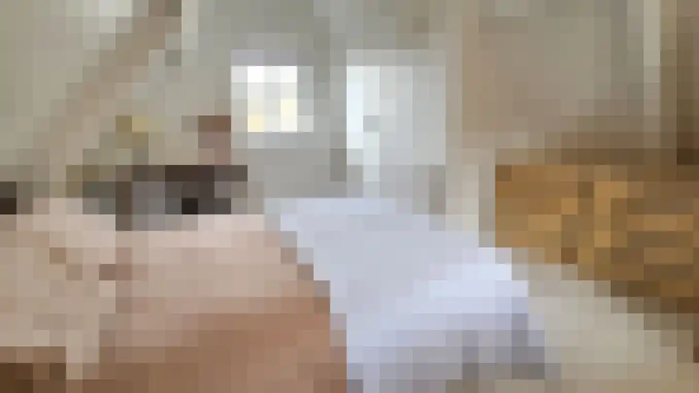 Zuideinde 5 Westzaan thumbnail 24