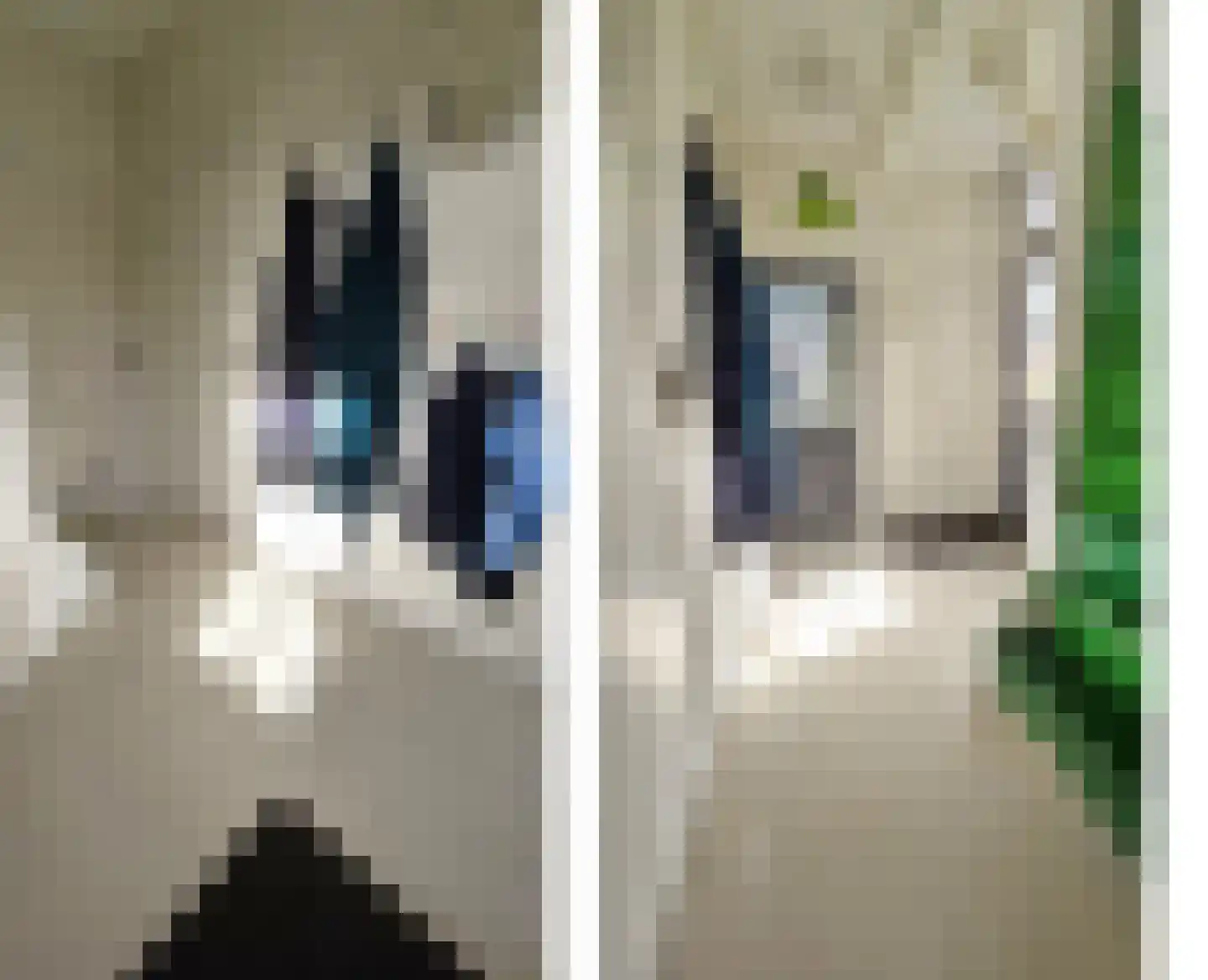 Zuideinde 5 Westzaan thumbnail 27