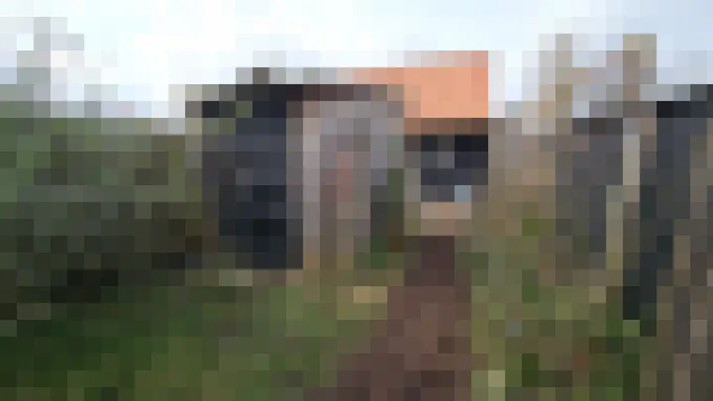 Zuideinde 5 Westzaan thumbnail 49