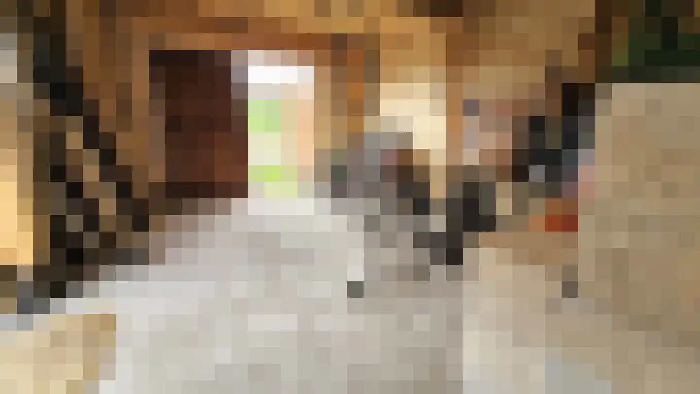 Zuideinde 5 Westzaan thumbnail 54